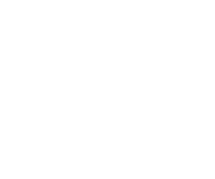 Rail Transport